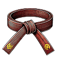 Brown Belt