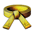 Yellow Belt